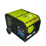 Бензиновий генератор Dalgakiran DJ 14000 BG-TE 14 кВт