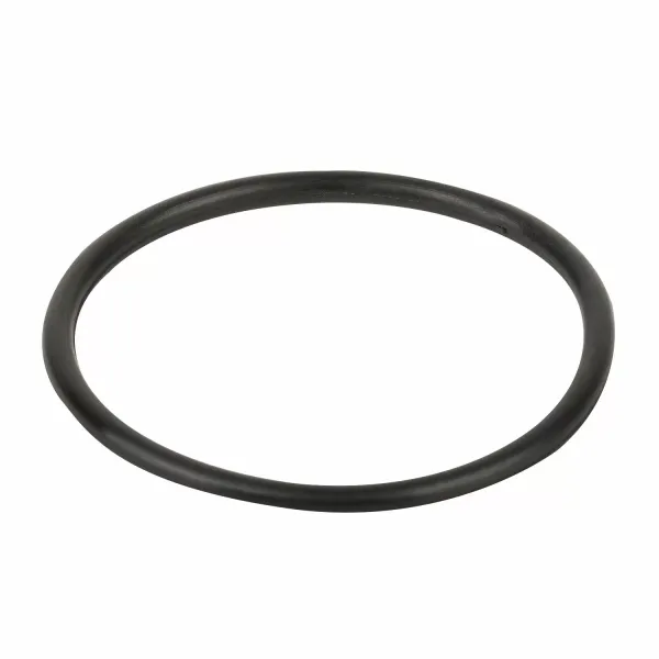 Уплотнительное кольцо муфты Emaux (02011003)