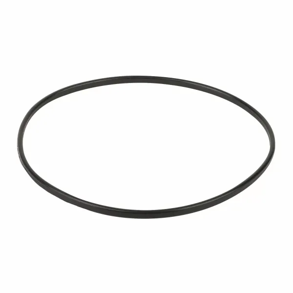 Кільце ущільнювача до притискного фланця корпусу насоса Emaux SC (02011089)