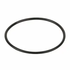 Уплотнительное кольцо диффузора Emaux (02011004)