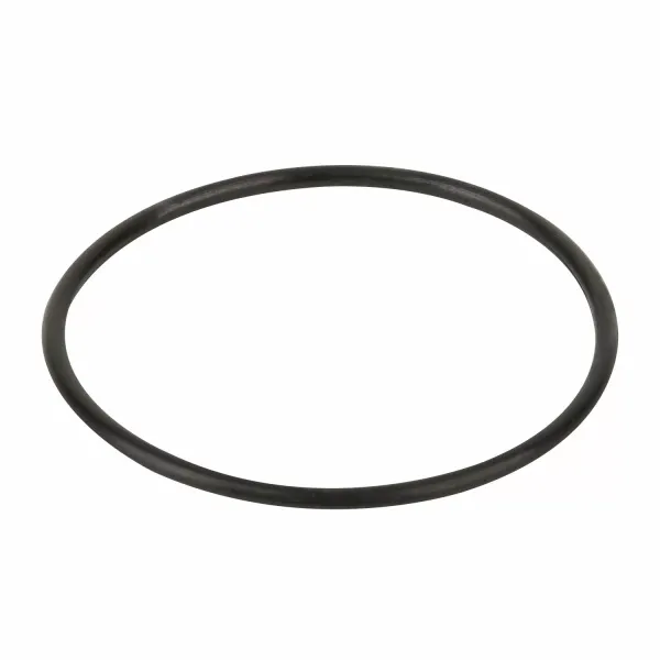 Уплотнительное кольцо диффузора Emaux (02011004)