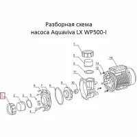 Гайка сполучної муфти насоса Aquaviva LX WP500-I